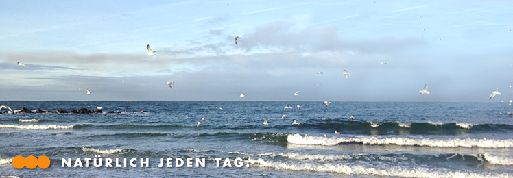 Ostsee mit Möwen, Copyright: AMLEI